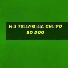 Hội trường địa chủ Po Bo Doo