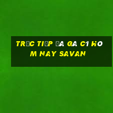 trực tiếp đá gà c1 hôm nay savan