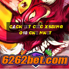 Cách đặt cược XSBINGO18 Chủ Nhật