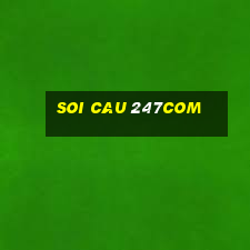 soi cau 247com