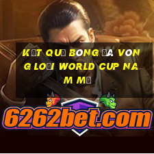 kết quả bóng đá vòng loại world cup nam mỹ