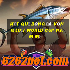 kết quả bóng đá vòng loại world cup nam mỹ