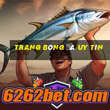 trang bóng đá uy tín