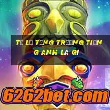 tỷ lệ tăng trưởng tiếng anh là gì