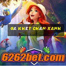 gà khét chân xanh