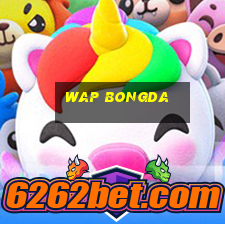 wap bongda