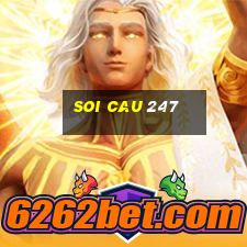 soi cau 247