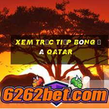 xem trực tiếp bóng đá qatar