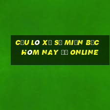 cầu lô xổ số miền bắc hôm nay đề online