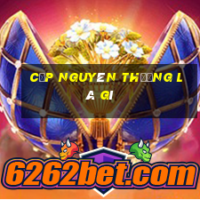 cặp nguyên thưởng là gì