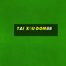 Tài Xỉu Dom88