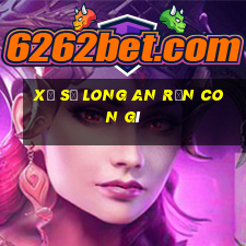 xổ số long an rắn con gì