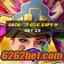 Cách đặt cược XSPY ngày 20