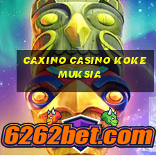 caxino casino kokemuksia