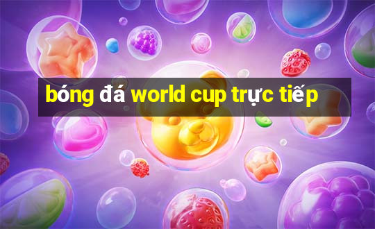 bóng đá world cup trực tiếp