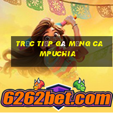 trực tiếp gà mạng campuchia