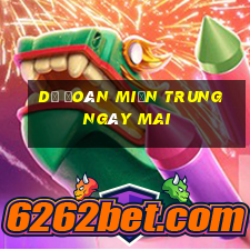 dự đoán miền trung ngày mai