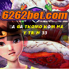 đá gà thomo hôm nay trận 33