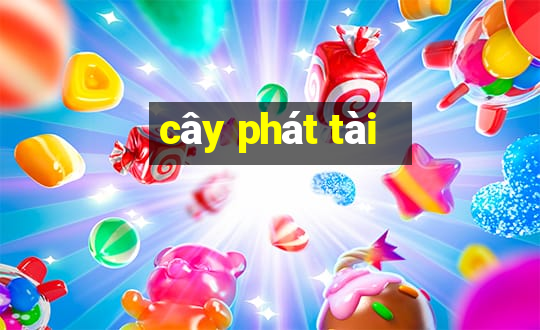 cây phát tài