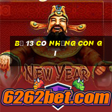 bộ 13 có những con gì