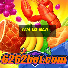 tim lo gan