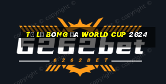 tỷ lệ bóng đá world cup 2024