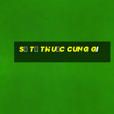 sư tử thuộc cung gì