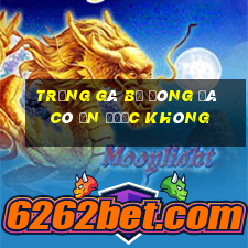 trứng gà bị đông đá có ăn được không