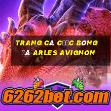 trang cá cược bóng đá arles avignon