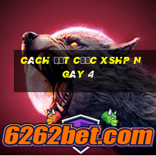 Cách đặt cược XSHP ngày 4