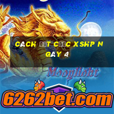 Cách đặt cược XSHP ngày 4