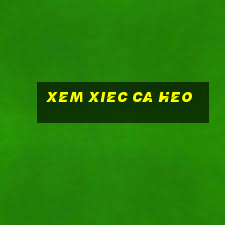 xem xiec ca heo