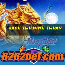 bach thu ninh thuan