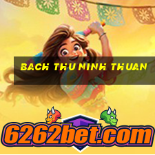 bach thu ninh thuan