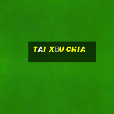 Tài Xỉu Chia