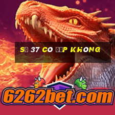 số 37 có đẹp không