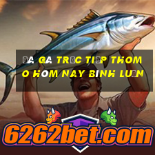 đá gà trực tiếp thomo hôm nay bình luận