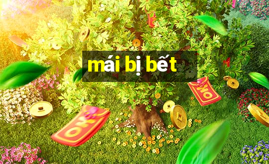 mái bị bết