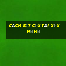 cách bắt cầu tài xỉu nổ hũ