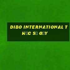 Dibo International thực sự gầy