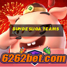 bundesliga teams