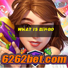 what is bingo