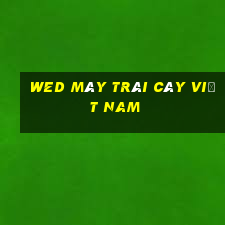 wed máy trái cây Việt nam