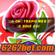 Địa chỉ trang web của Bole Cai