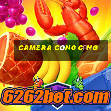 camera công cộng