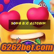 sòng bạc altcoin