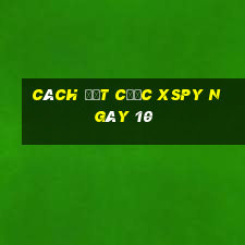 Cách đặt cược XSPY ngày 10