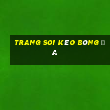 trang soi kèo bóng đá