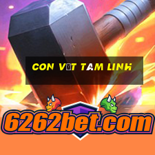 con vật tâm linh