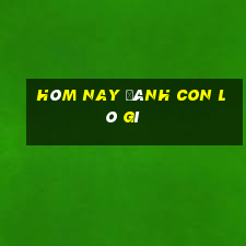 hôm nay đánh con lô gì